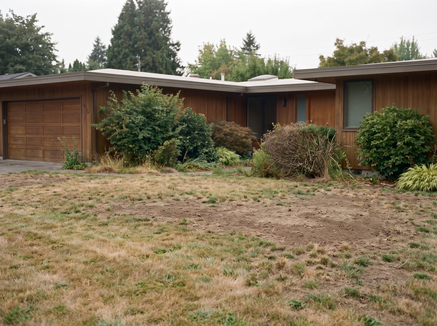 A plain, undesigned front yard before landscaping.